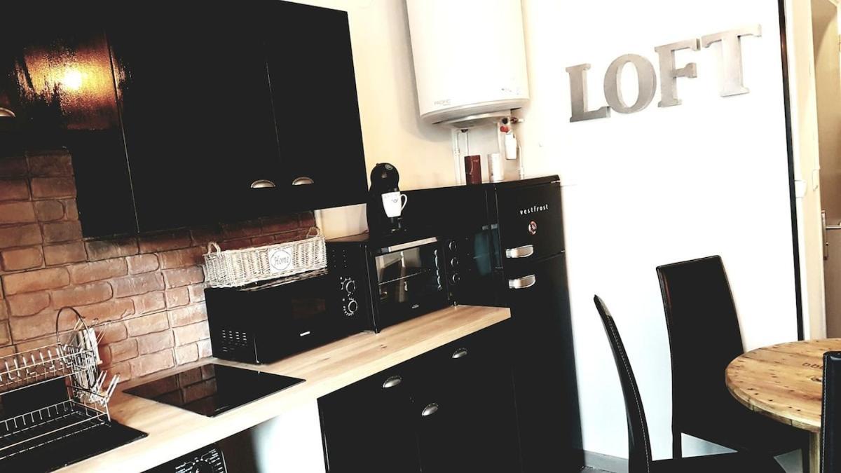 Montagnes Russes Apartment Grenoble Luaran gambar